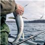 5 kg – Monofilament – Bobine de fil de pêche