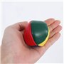 Kungfu Mall 5pcs débutants balles de Jonglerie Douces et faciles balles de Jonglerie pour Enfants et Adultes avec Sac de Rangeme