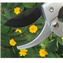 Sécateur de jardin, sécateur économe en travail avec lames en acier à haute teneur en carbone : outil de jardinage léger pour le