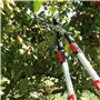 Amig - Cisaille d'Élagage Extensible à Deux Mains | Manche Télescopique en Aluminium | Lame en Acier Revêtue de Téflon | De 62 à