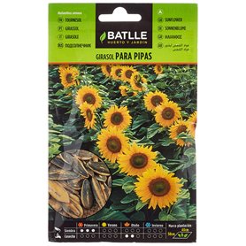Graines aromatiques de Batlle - Tournesol (Seeds - 30cm)