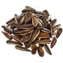 Graines aromatiques de Batlle - Tournesol (Seeds - 30cm), Blanche