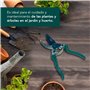 jardin et potager -