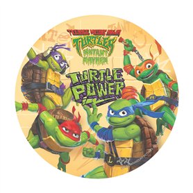 dekora - Décoration pour Gâteau d'Anniversaire d'Enfants - Disque de Gaufrette Tortues Ninja | Diamètre 20 cm