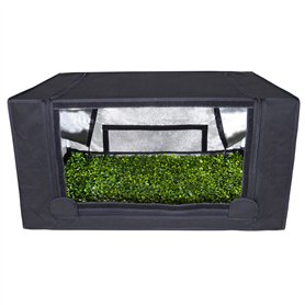 Garden highpro propagatorm Armoire Probox Propagator M (80 x 60 x 40 cm)