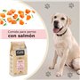 Avantis Pet Pure Oceanic Adult - Aliment pour Chiens Adultes de Toutes Races à estomame Sensible - 12 kg - Aliments secs pour Ch