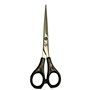 Ciseaux de coiffure pour débutants avec anneaux en plastique de 5 pouces.