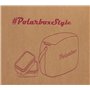 Glacière Lunchbox 6L Matcha Gold POLARBOX
