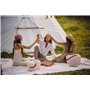 Polarbox Glacière Classique rétro Vintage pour Camping, Pique-Nique, Plage, 20 l, Sorbet/Rose