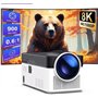 UST Vidéoprojecteur