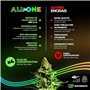 UP NUTRIENTS Engrais ALL IN ONE Cannabis Intérieur et Extérieur 500 ml – Engrais Plantes NPK 5-1-5 Toutes les Phases de Croissan