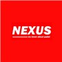 Nexus - Padel Pisa Niveau intermédiaire, modèle doré - 100% Fibre de Verre
