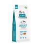 BRIT Care Dog Grain Free Adult Saumon 12 kg