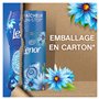 Envolée d’Air