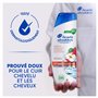 Head & Shoulders Purifiant & Brillance Shampoing Antipelliculaire 330ml, Usage Quotidien, Jusqu'à 100% des Pellicules Éliminées,