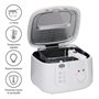 alpina Friteuse - Friteuse - 1800 Watt - 2,5 Litre - Jusqu'à 190ºC - Blanc
