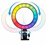 Grundig Anneau lumineux avec clip - Selfie Light RGB et lumière blanche - ⌀16 cm - Cou flexible - 48 LED