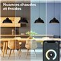 blancs 2200-4000K