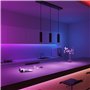 CALEX Suspension Intelligente - Smart GU10-3 Lumières - Noir Mat - Aluminium - Spots Orientables - Installation Facile