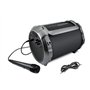 Caliber Karaoké complet - Haut parleur avec microphone - Bluetooth - FM - USB - SD - Autonomie 6h - Puissance 15 W - Noir