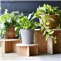 Esschert Table de plantation en bambou design 25 x 11 cm