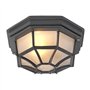 Qazqa bri - Plafonnier - 1 lumière - Ø 265 mm - Gris foncé - Rustique - éclairage extérieur