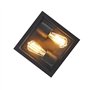 Qazqa charlois - Plafonnier - 2 lumière - L 24 cm - Noir - Design - éclairage extérieur - Salle de bains