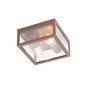 Qazqa charlois - Plafonnier - 2 lumière - L 24 cm - Brun rouille - Design, Industriel - éclairage extérieur - Salle de bains