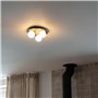 Qazqa cederic - Plafonnier - 3 lumière - Ø 23 cm - Noir - Moderne - éclairage extérieur - Salle de bains