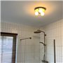 Qazqa cederic - Plafonnier - 3 lumière - Ø 23 cm - Doré/Laiton - Moderne - éclairage extérieur - Salle de bains