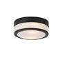 Qazqa flavi - Plafonnier - 2 lumière - Ø 23 cm - Noir - Moderne - éclairage extérieur - Salle de bains