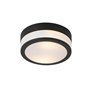 Qazqa flavi - Plafonnier - 2 lumière - Ø 23 cm - Noir - Moderne - éclairage extérieur - Salle de bains