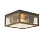 Qazqa charlois - Plafonnier - 2 lumière - L 24 cm - Doré/Laiton - Rustique - éclairage extérieur - Salle de bains