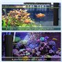 230L/H Filtre Aquarium à Débit d’Eau