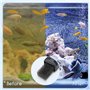 Nobleza - Filtre Intérieur Aquarium 5W, 230L/H Filtre Aquarium à Débit d’Eau, 20-50L Filtre Aquarium pour Petit Réservoir, Froid