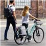 Wildkatz Felis Small Sac à dos pour vélo, 20 l, avec cape de pluie imperméable, sacoche de porte-bagages et sac à dos combiné, g