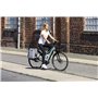 Wildkatz Felis Small Sac à dos pour vélo, 20 l, avec cape de pluie imperméable, sacoche de porte-bagages et sac à dos combiné, g