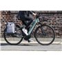 Wildkatz Felis Small Sac à dos pour vélo, 20 l, avec cape de pluie imperméable, sacoche de porte-bagages et sac à dos combiné, g
