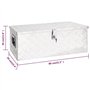 vidaXL Boîte à outils d'extérieur Boite de rangement Coffre à outils pour garage Aluminium argenté