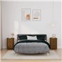 vidaXL Comodini 2 pz Miele 40x35x61,5 cm in Legno Massello di Pino