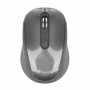 Souris Optique Sans Fil NGS HAZE USB 2.0 1600 dpi Gris 19,99 €