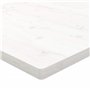 vidaXL Dessus de Bureau, Plateau de Table d'Étude, Dessus de Table de Remplacement Intérieur, Blanc 80x40x2,5 cm Bois Massif de 