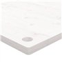 vidaXL Dessus de Bureau, Plateau de Table d'Étude, Dessus de Table de Remplacement Intérieur, Blanc 80x40x2,5 cm Bois Massif de 