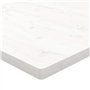 vidaXL Dessus de Table, Plateau Carré de Bureau, Dessus de Table de Remplacement Maison Restaurant, Blanc 40x40x2,5 cm Bois de P