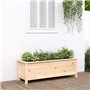 Pot de Plantes