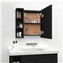 vidaXL Armoire à Miroir avec LED Noir 70x16,5x60 cm