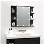 vidaXL Armoire à Miroir avec LED Noir 70x16,5x60 cm