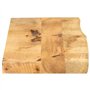 vidaXL Dessus de Table 100x20x3,8 cm Bord Vivant Bois Massif manguier, Dessus de Table en Bois, Dessus de Table d'appoint, Dessu