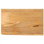 vidaXL Dessus de Table à Bord Vivant 40x20x3