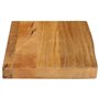 vidaXL Dessus de Table à Bord Vivant 40x20x2,5 cm Bois Massif manguier